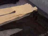 Unterhosen sehen immer gut aus