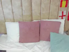 Dinahcarter 180